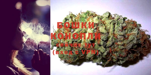 ПСИЛОЦИБИНОВЫЕ ГРИБЫ Алзамай