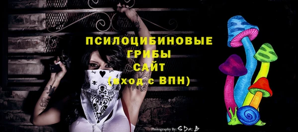 ПСИЛОЦИБИНОВЫЕ ГРИБЫ Алзамай